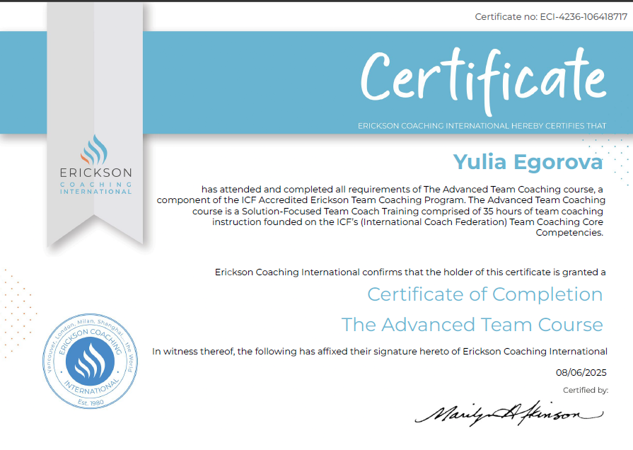 Advanced Team Coaching